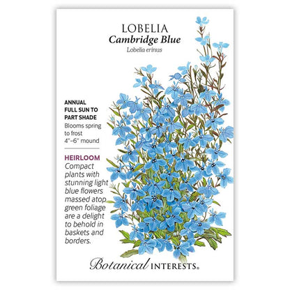 Cambridge Blue Lobelia Seeds