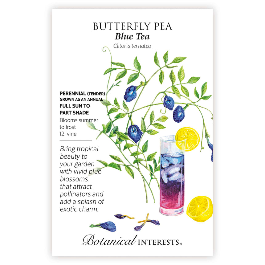 organic butterfly pea flower seeds Blue Tea Butterfly Pea Seeds