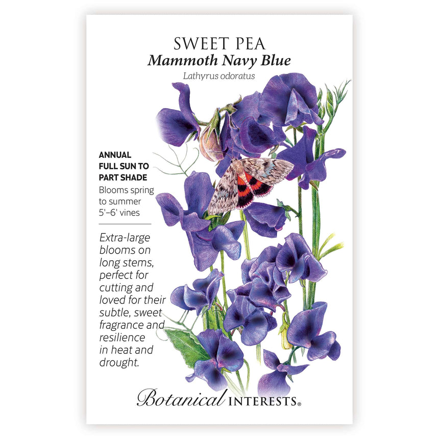 2026 New Varieties Seed Bundle