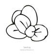Magic Mix Monkey Flower Seeds