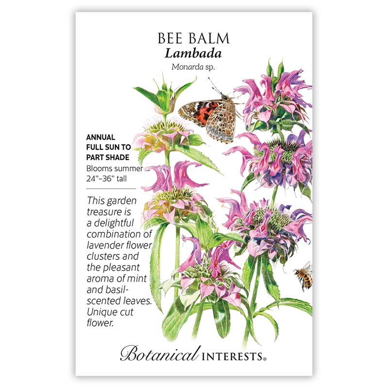 Bee Happy Seed Gift Set