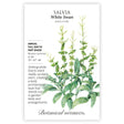 White Swan Clary Sage Salvia Seeds