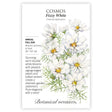 Fizzy White Cosmos Seeds