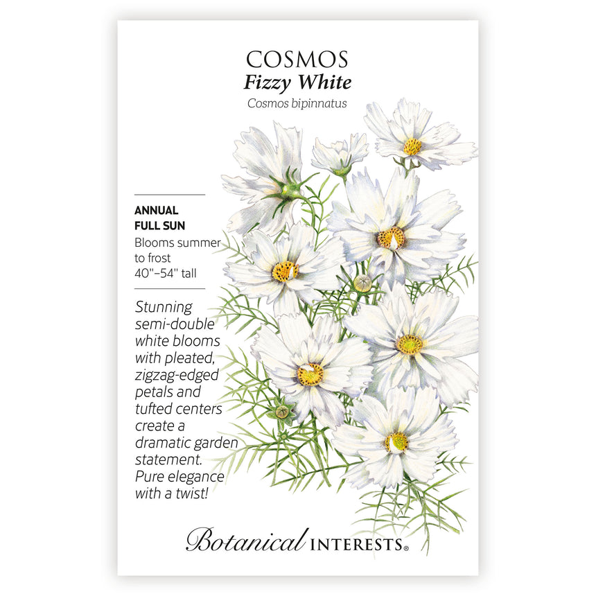 Fizzy White Cosmos Seeds