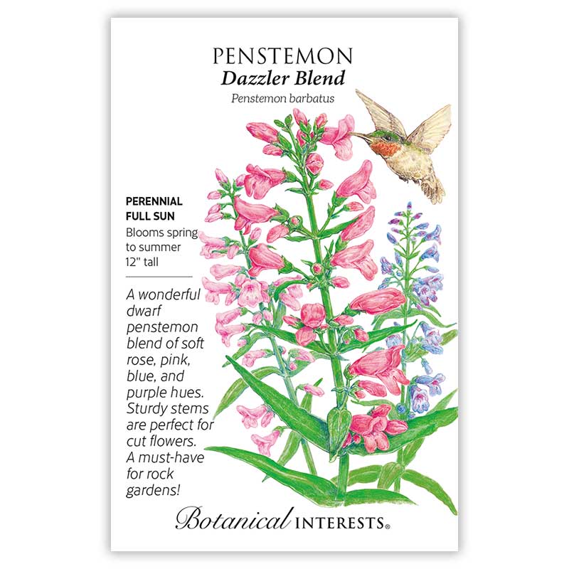 penstemon flower seeds Dazzler Blend Penstemon Seeds – Botanical Interests