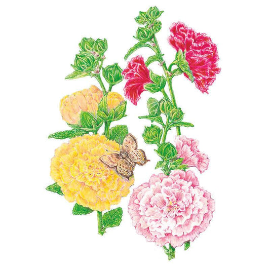 Chater's  Double Hollyhock Seeds