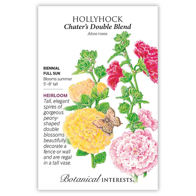 double flower hollyhock seeds Chater's Double Hollyhock Seeds