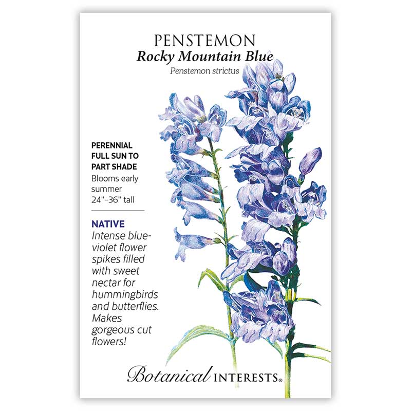 Rocky Mountain Blue Penstemon Seeds