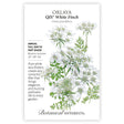 QIS® White Finch Orlaya Seeds
