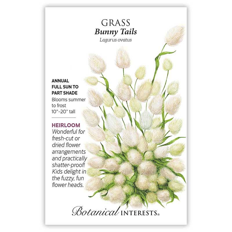 flower grass seed Bunny Tails Grass Seeds – Botanical Interests