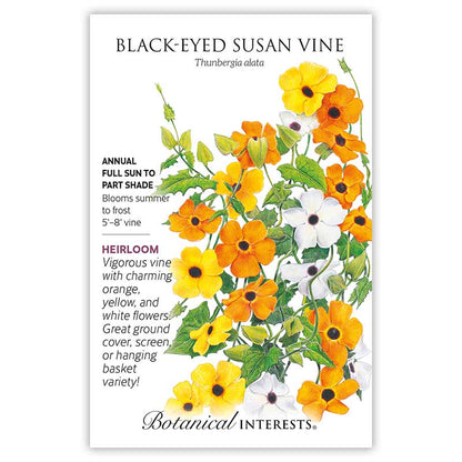 Black-Eyed Susan Vine Seeds