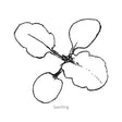 Matrix® Rose Blotch Pansy Seeds