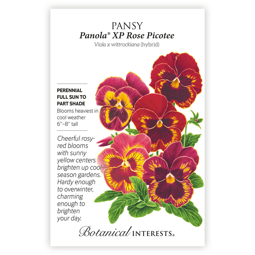 Panola® XP Rose Picotee Pansy Seeds
