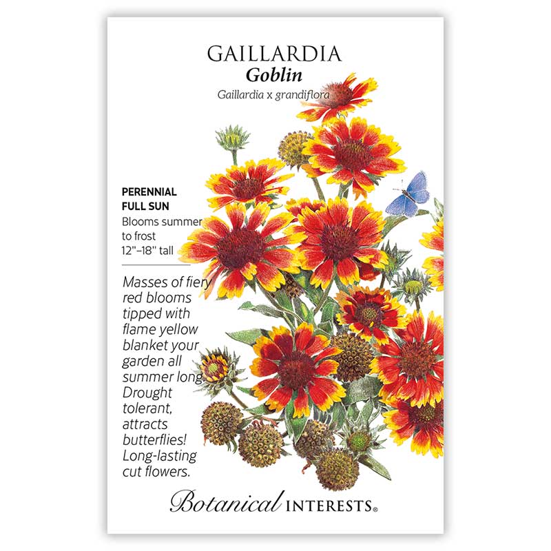 Goblin Gaillardia Seeds