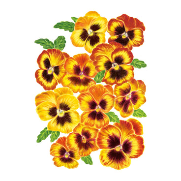 Matrix® Solar Flare Pansy Seeds
