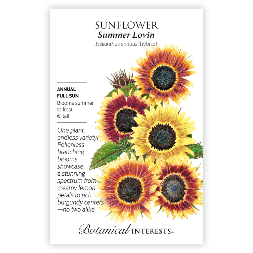 Summer Lovin Sunflower Seeds