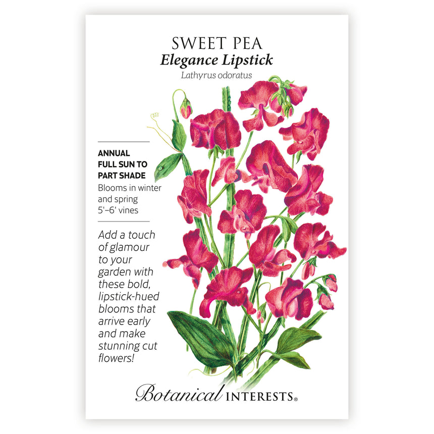 Elegance Lipstick Sweet Pea Seeds