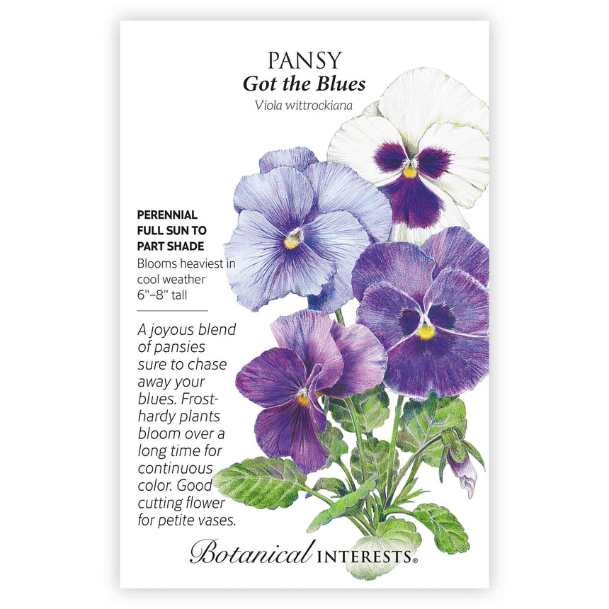pansy flower seeds Got the Blues Pansy Seeds