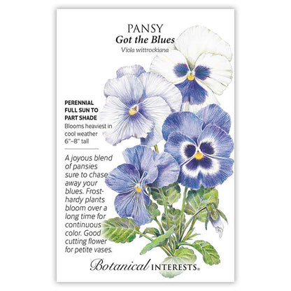 Got the Blues Pansy Seeds