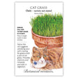 Cat Grass Seeds