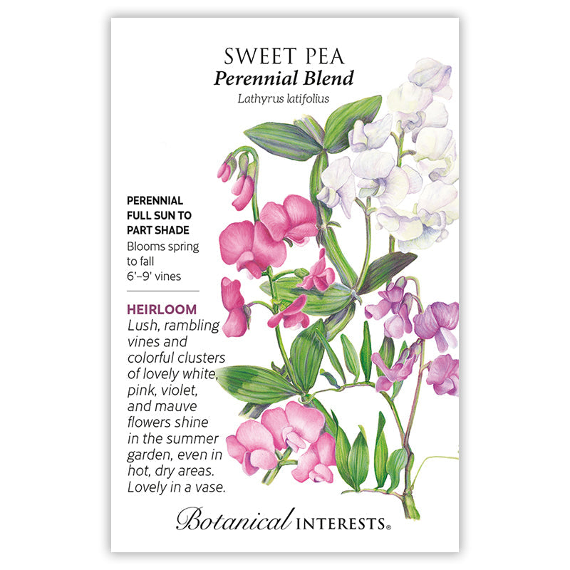 Perennial Blend Sweet Pea Seeds