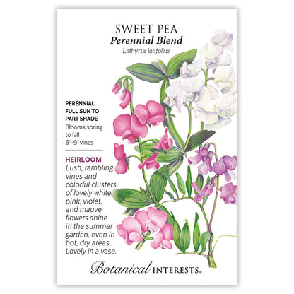 Perennial Blend Sweet Pea Seeds