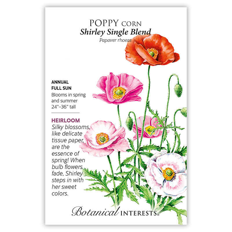 poppy plant seeds for sale Shirley Single Blend Corn Poppy Seeds