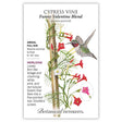 Funny Valentine Blend Cypress Vine Seeds