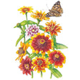 Persian Carpet Zinnia Seeds