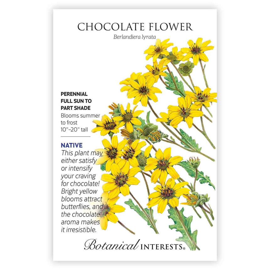 flower seeds for full sun Chocolate Flower Seeds
