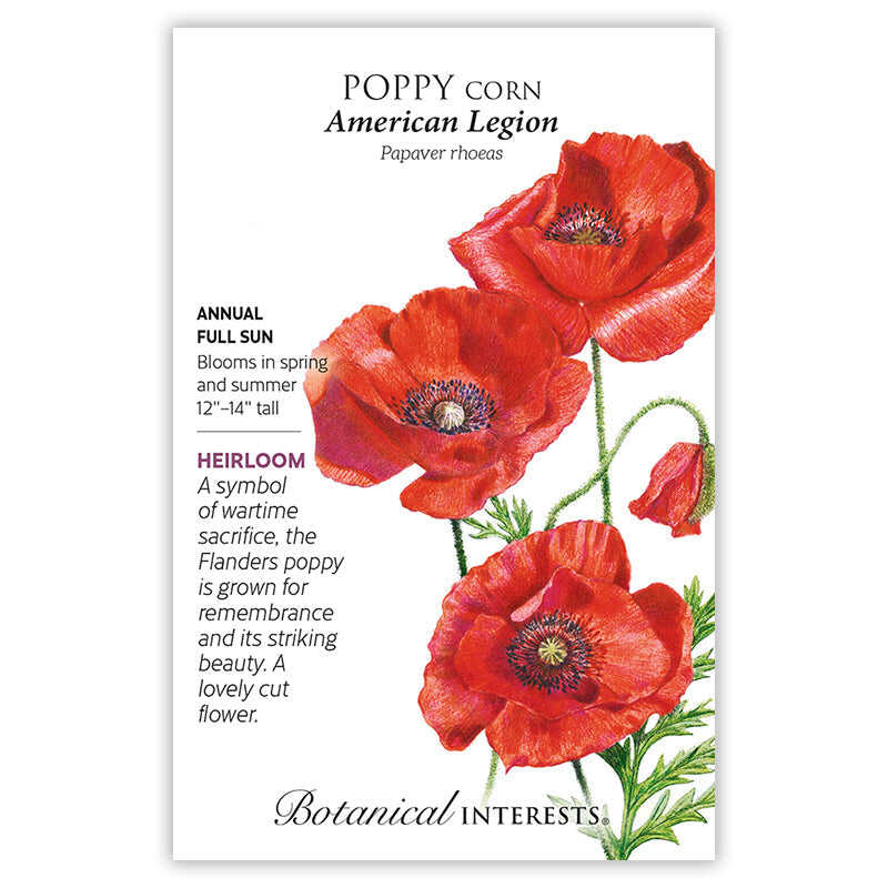 planting corn poppy seeds American Legion Corn Poppy Seeds