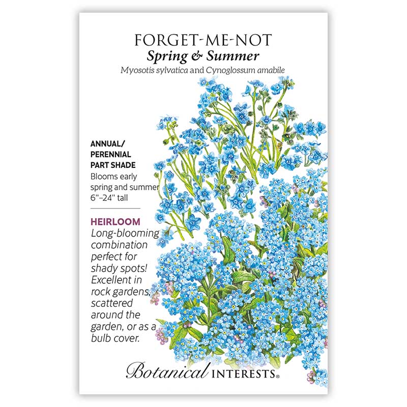 plant forget me not seeds Spring and Summer Forget-Me-Not Seeds – Botanical Interests