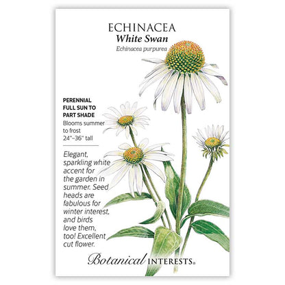White Swan Echinacea Seeds