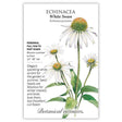 White Swan Echinacea Seeds