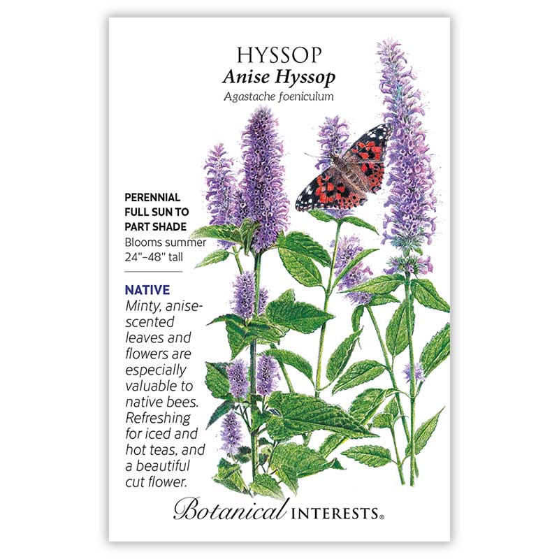 Anise Hyssop Seeds