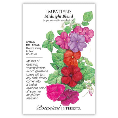 Midnight Blend Impatiens Seeds