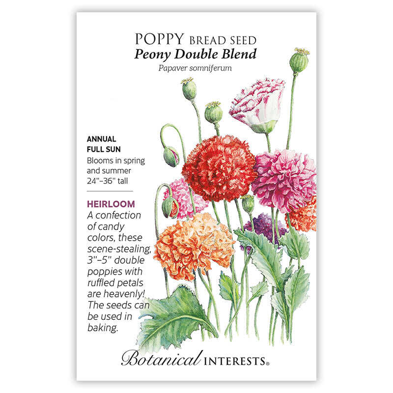 planting peony poppy seeds Peony Double Blend Poppy Seeds