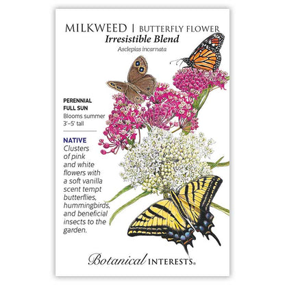 Eastern Breeze Butterfly Gift Set