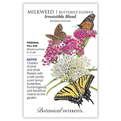 Eastern Breeze Butterfly Collection