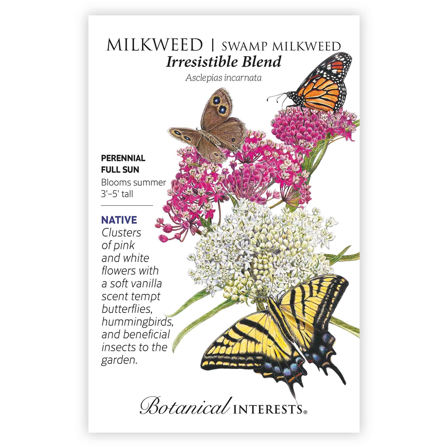 Irresistible Blend Milkweed/Butterfly Flower Seeds