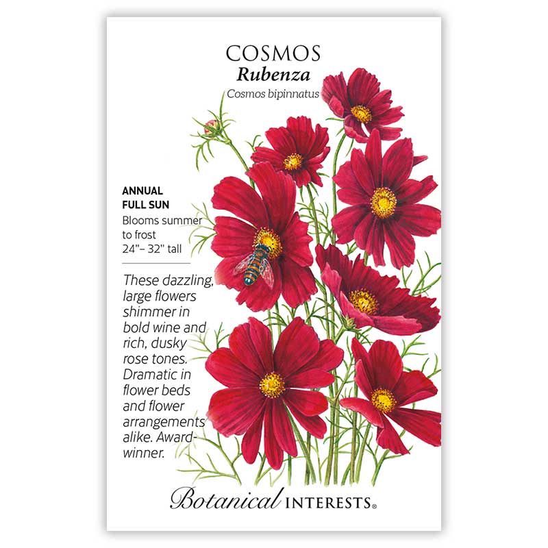 Rubenza Cosmos Seeds