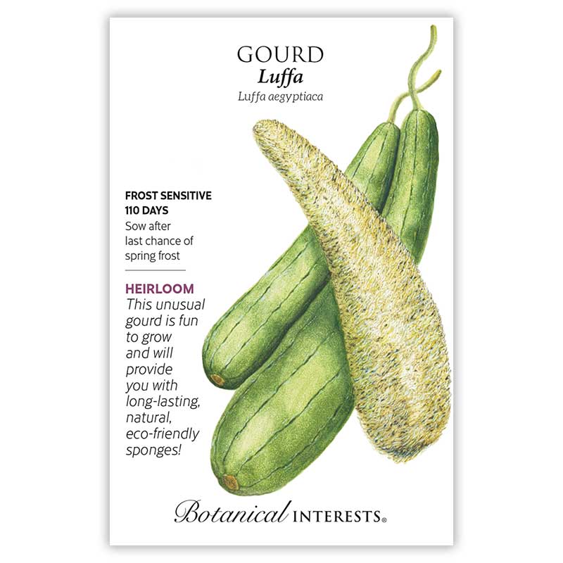luffa sponge plant seeds Luffa Gourd Seeds