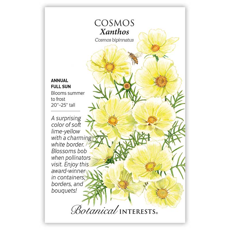 Xanthos Cosmos Seeds