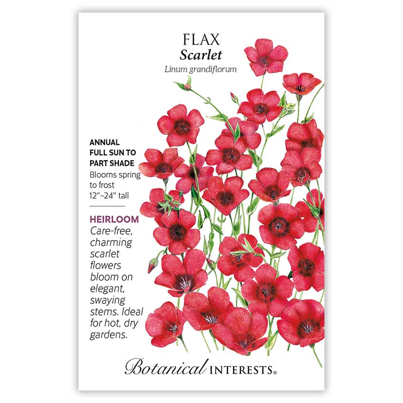 red flax flower seeds Scarlet Flax Heirloom Seeds