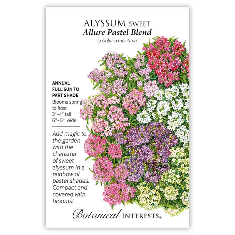 Allure Pastel Blend Sweet Alyssum Seeds