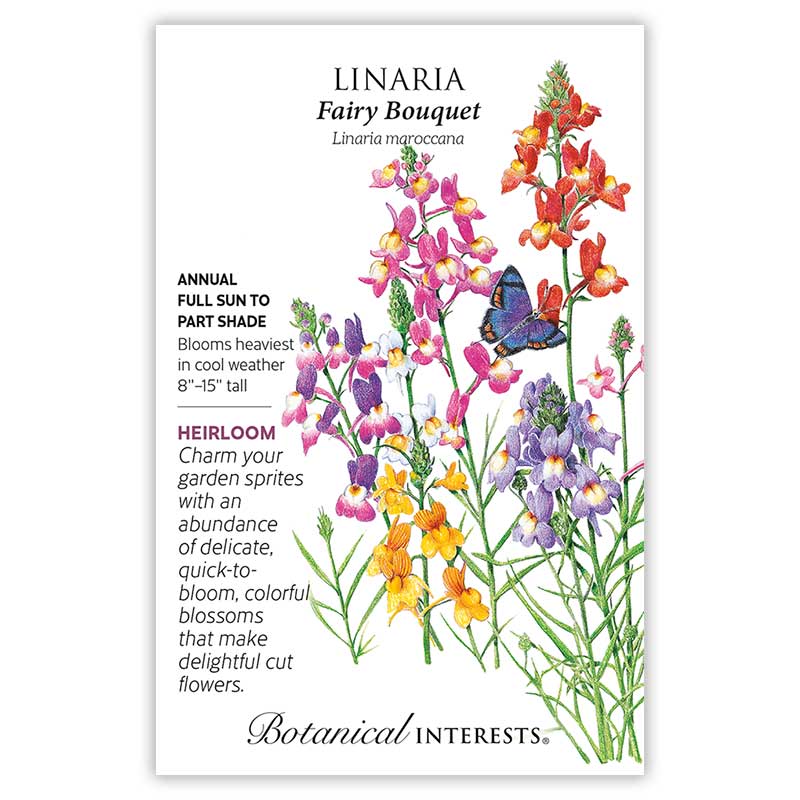 fairy flower seeds Fairy Bouquet Linaria Seeds