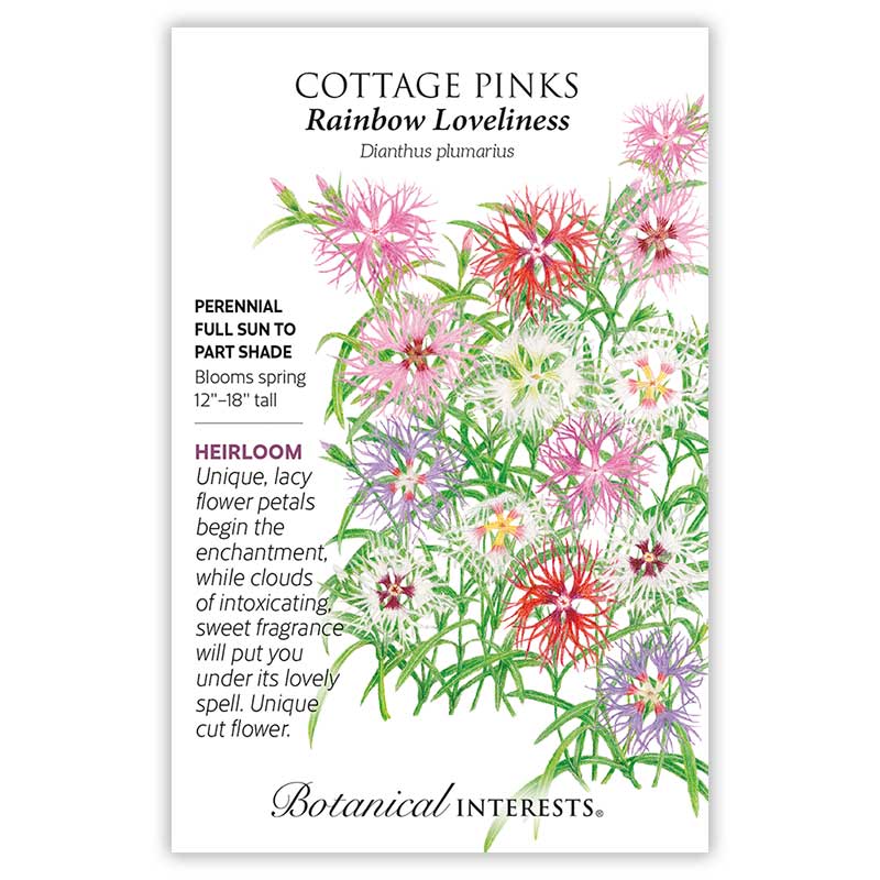 garden pinks seeds Rainbow Loveliness Cottage Pinks Seeds