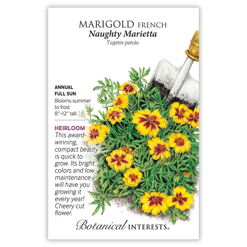 Naughty Marietta French Marigold Seeds