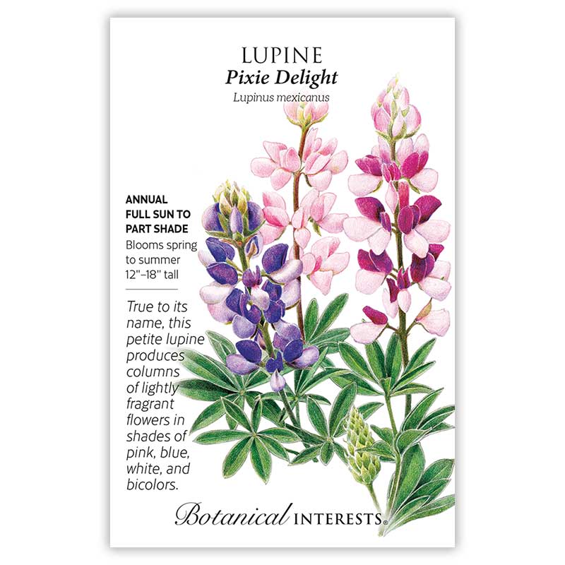 Pixie Delight Lupine Seeds