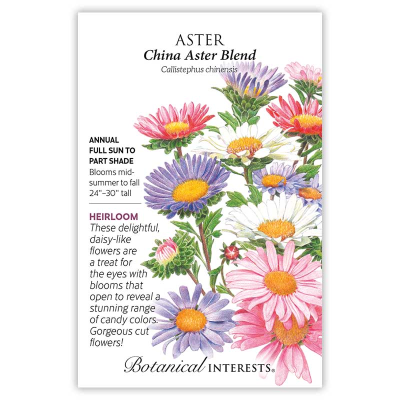 China Aster Blend Aster Seeds